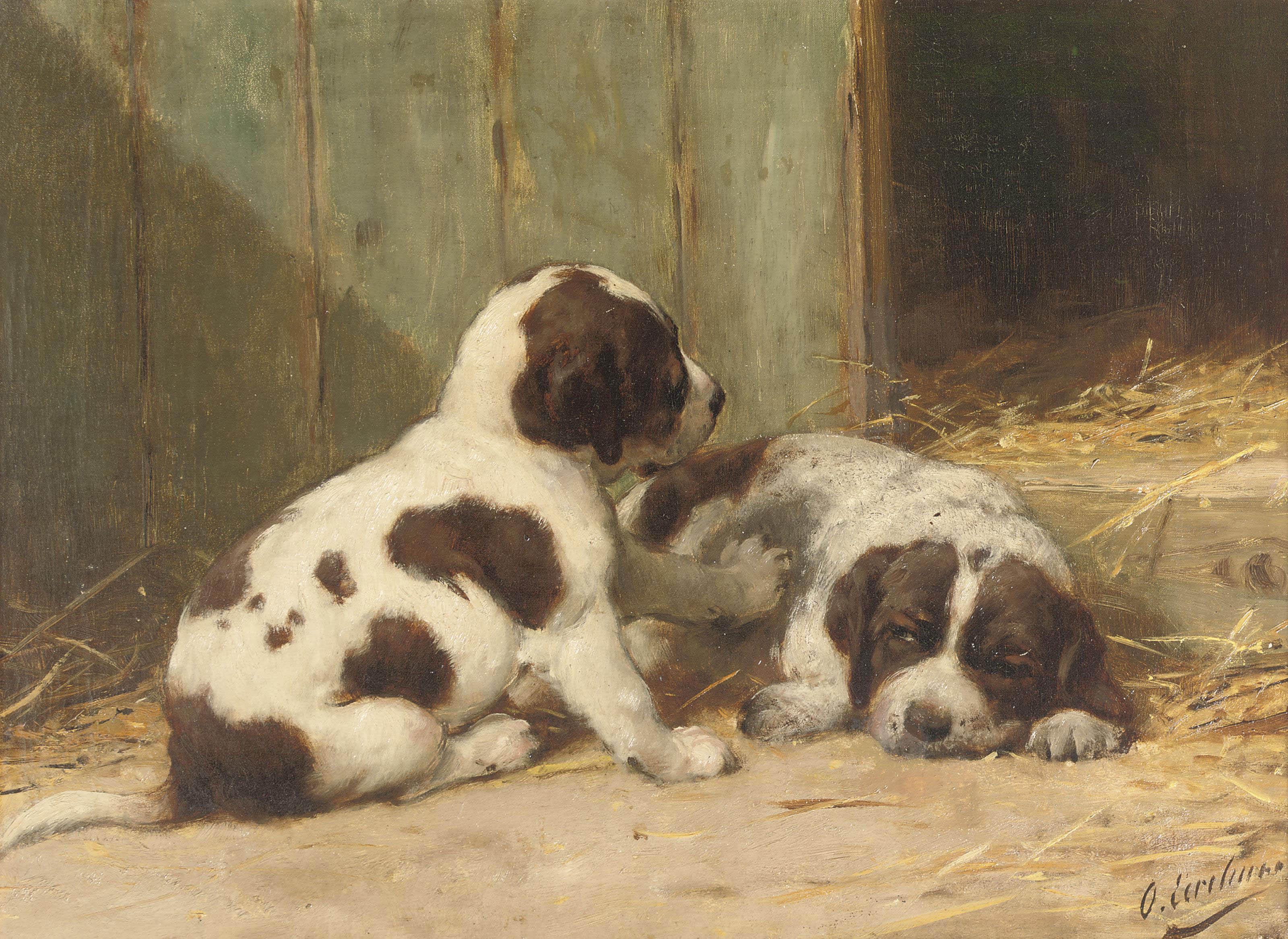 Otto Eerelman - Saint-Bernard puppies
