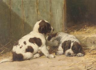 Otto Eerelman - Saint-Bernard puppies