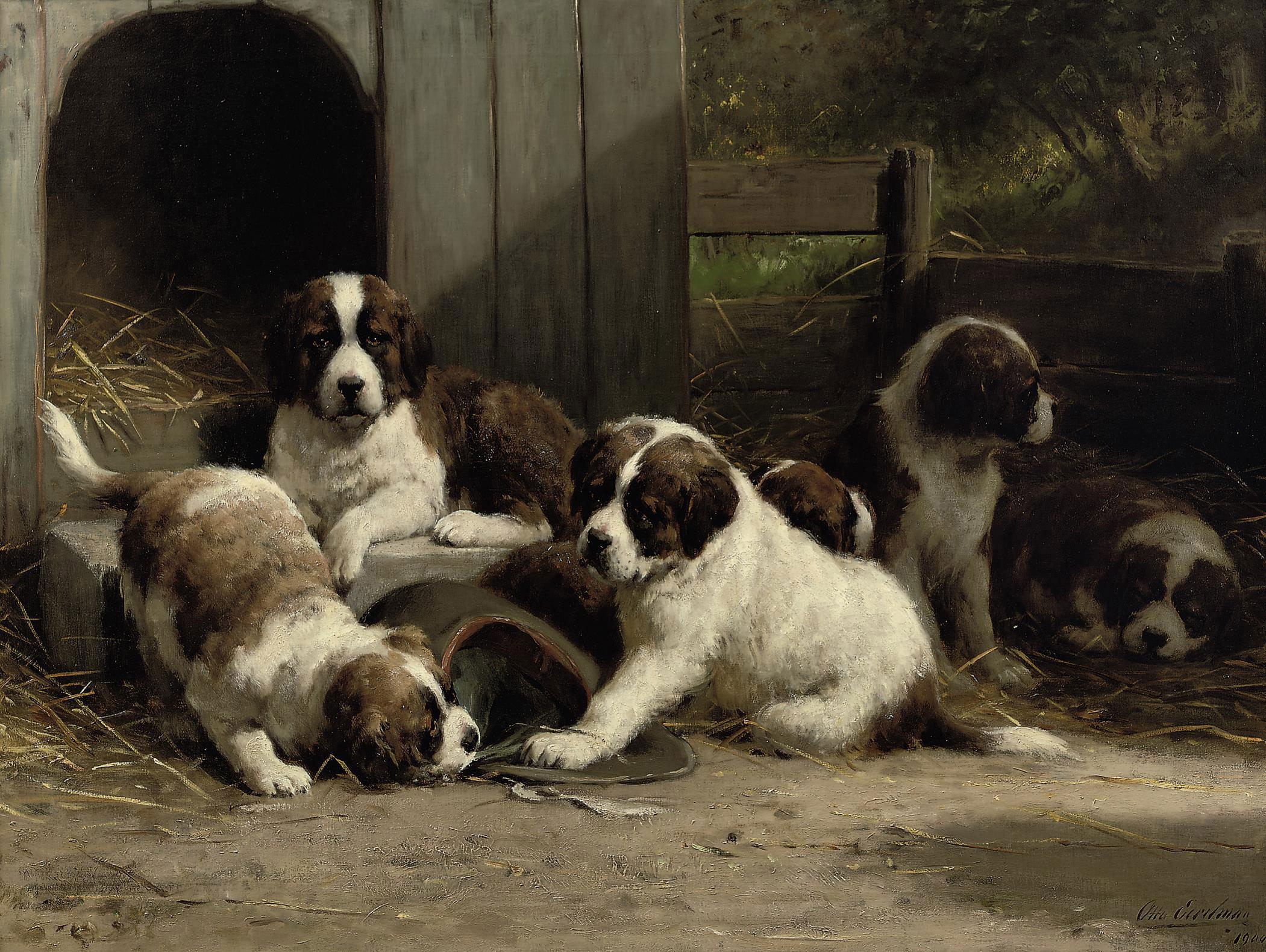 Otto Eerelman - Saint-Bernard puppies