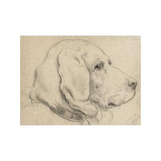 Otto Eerelman - Study Of A Dog