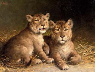 Otto Eerelman - The little lions