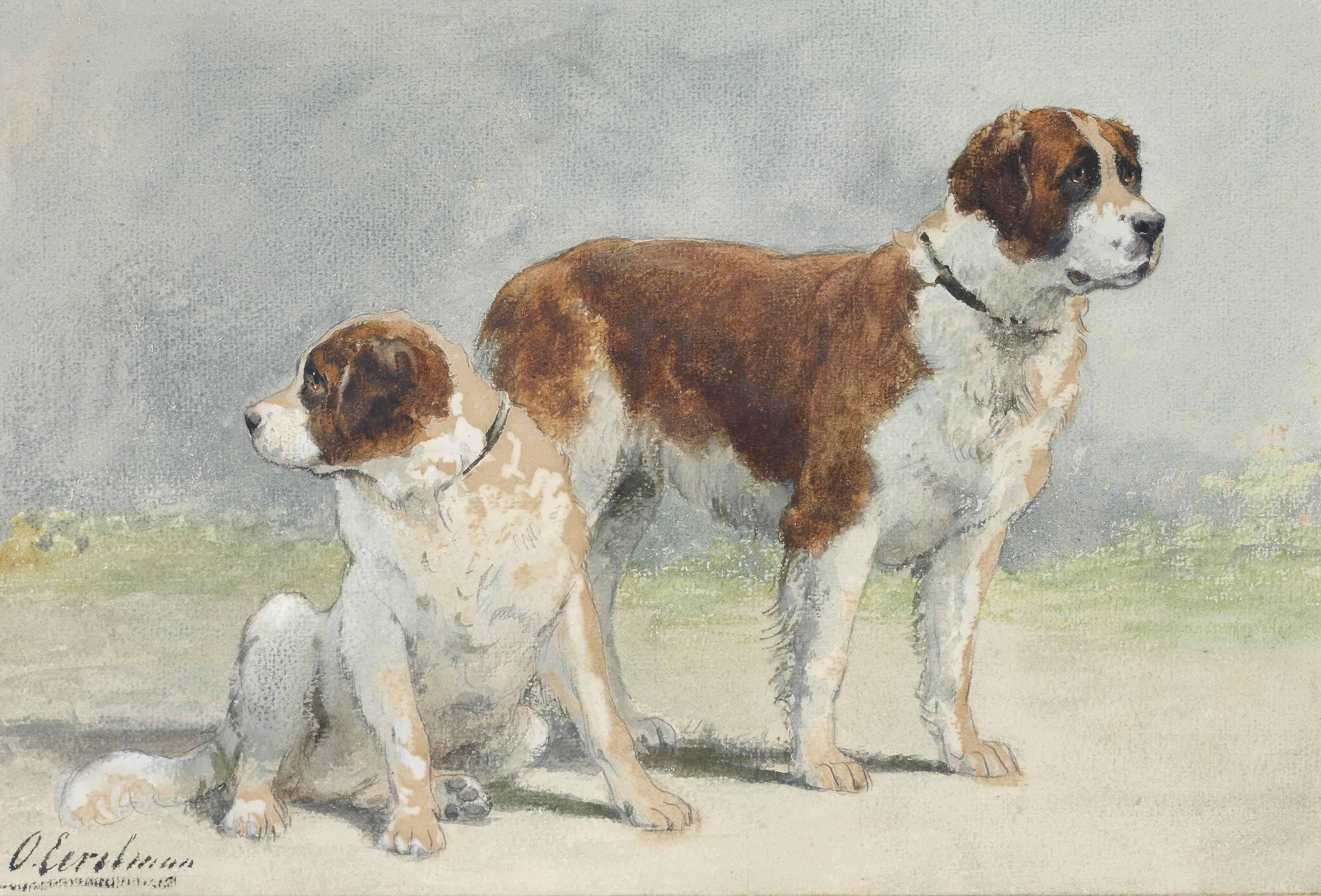 Otto Eerelman - Two Saint Bernard dogs