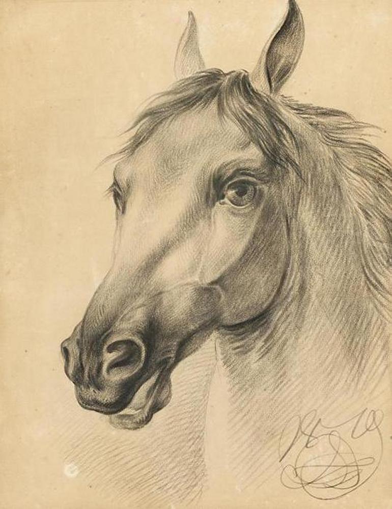 Otto Grashof - Kopf eines Pferdes