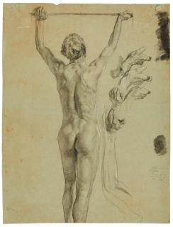 Otto Greiner - Aktstudie eines Knaben von hinten sowie Handstudien.