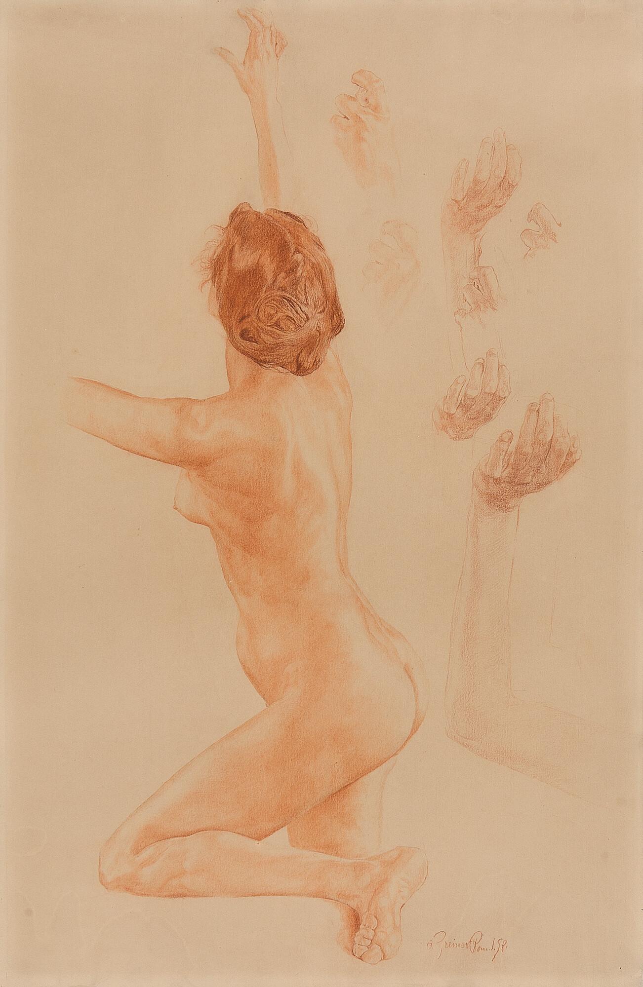 Otto Greiner - Studien zu: Ganymed.