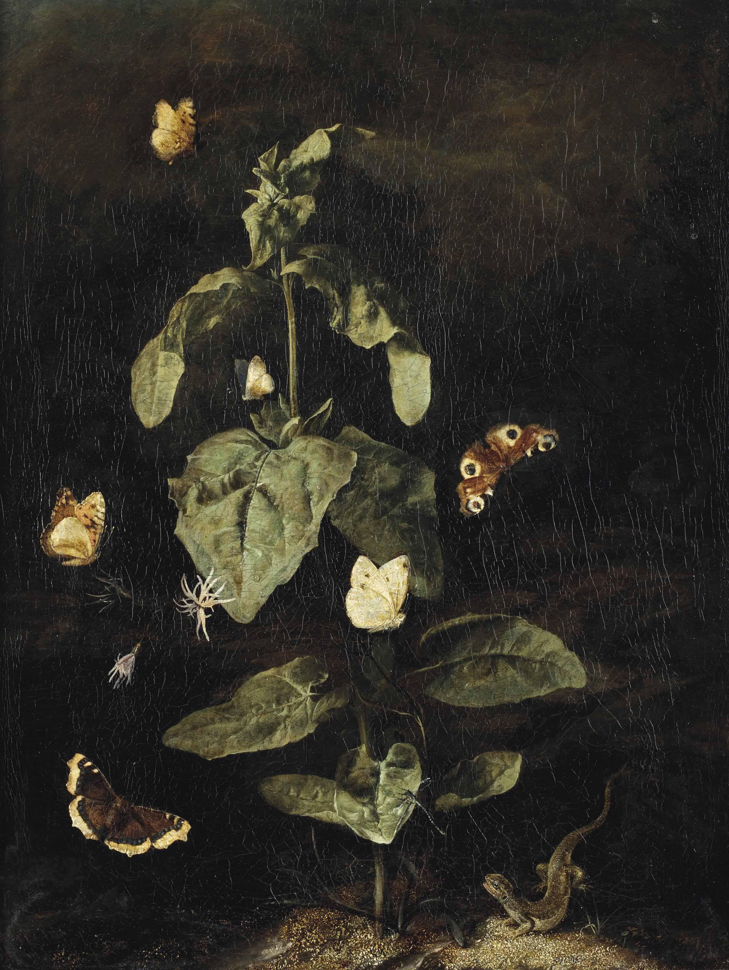 Otto Marseus Van Schrieck - A Forest Floor Still Life With A Grand Surprise (Nymphalis Antiopa), A Large Tortoiseshell (Nymphalis Polychloros), A Small White (Pieris Rapae), A Peacock (Inachis Io), And Other Butterflies And A Lizard