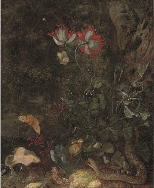 Otto Marseus van Schrieck - A Forest Floor Still Life With A Snake, A Snail, Butterflies, Poppies And Other Flowers