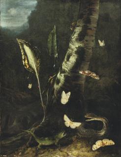 Otto Marseus Van Schrieck - A forest floor with a lizard, a snake and butterflies