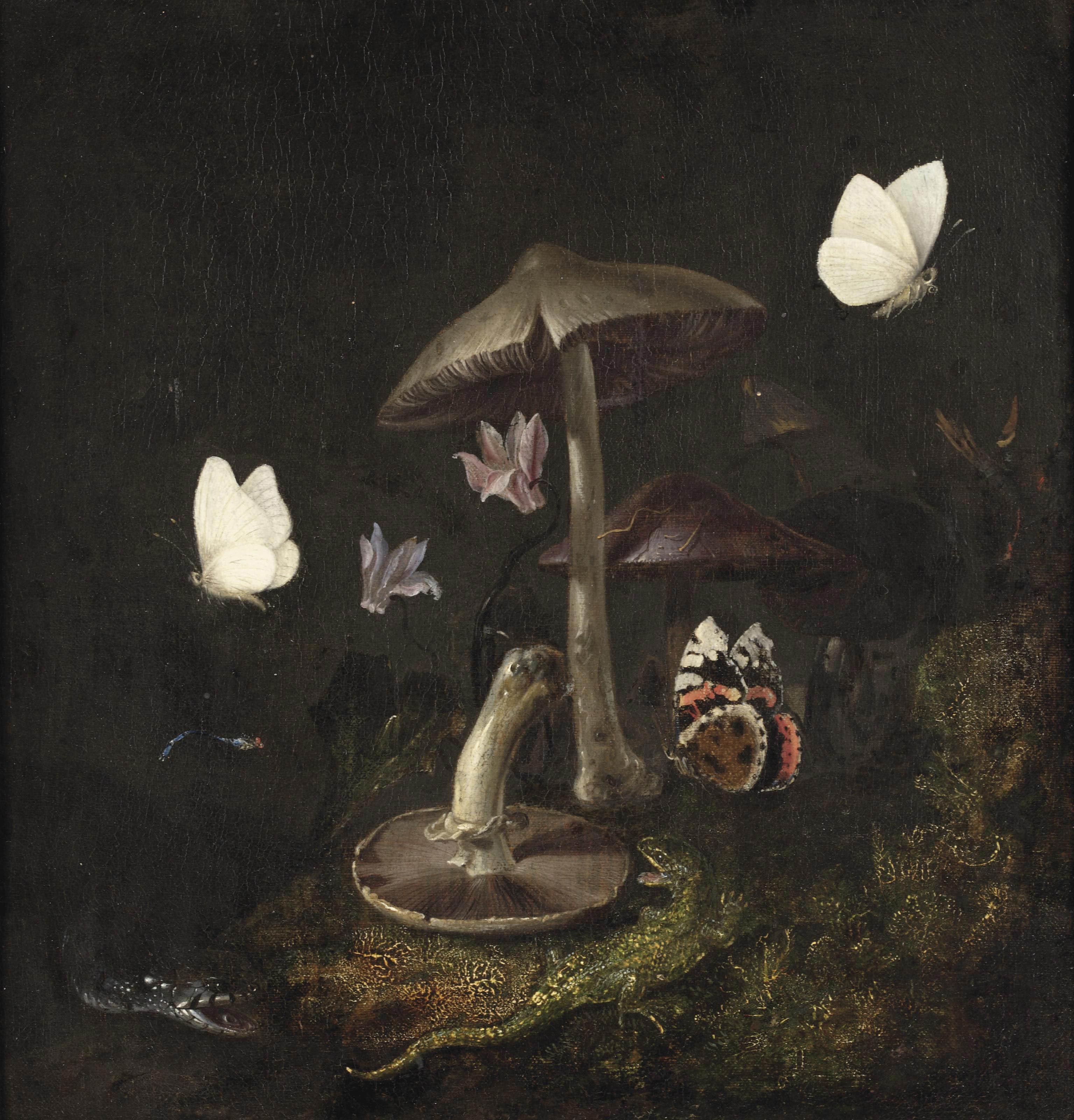 Otto Marseus van Schrieck - A \'sotto bosco\' with mushrooms, butterflies, a dragonfly, a snake and a lizard