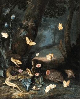 Otto Marseus van Schrieck - Drei Schlangen, Eidechse und Kröte