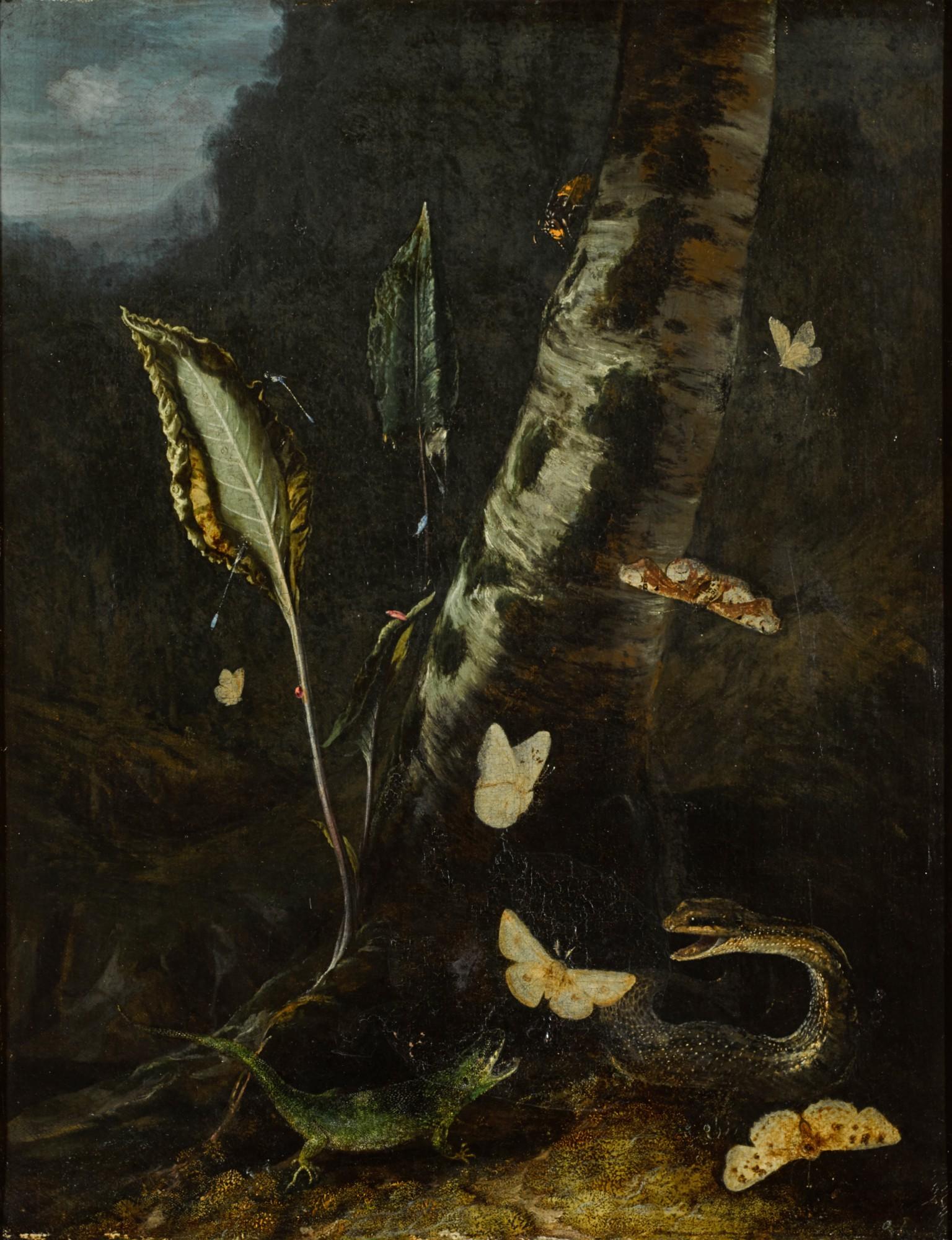 Otto Marseus Van Schrieck - Forest Floor Still Life, With A Lizard, A Snake And Butterflies