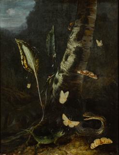 Otto Marseus Van Schrieck - Forest Floor Still Life, With A Lizard, A Snake And Butterflies