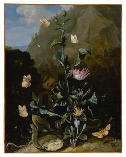 Otto Marseus Van Schrieck - Still life of a thistle and other flowers surrounded by moths, a dragonfly, a lizard and a snake, in a landscape