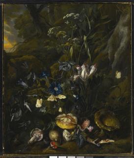 Otto Marseus Van Schriek - Forest Floor Still Life With Flowers, Mushrooms, Butterflies, A Snake, A Frog, And A Dragonfly
