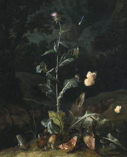 Otto Marseus Van Schriek - Nocturnal Forest Floor Still Life With A Thistle, Butterflies, Mushrooms And A Frog