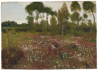 Otto Modersohn - Heidelandschaft im Moor mit Wollgras