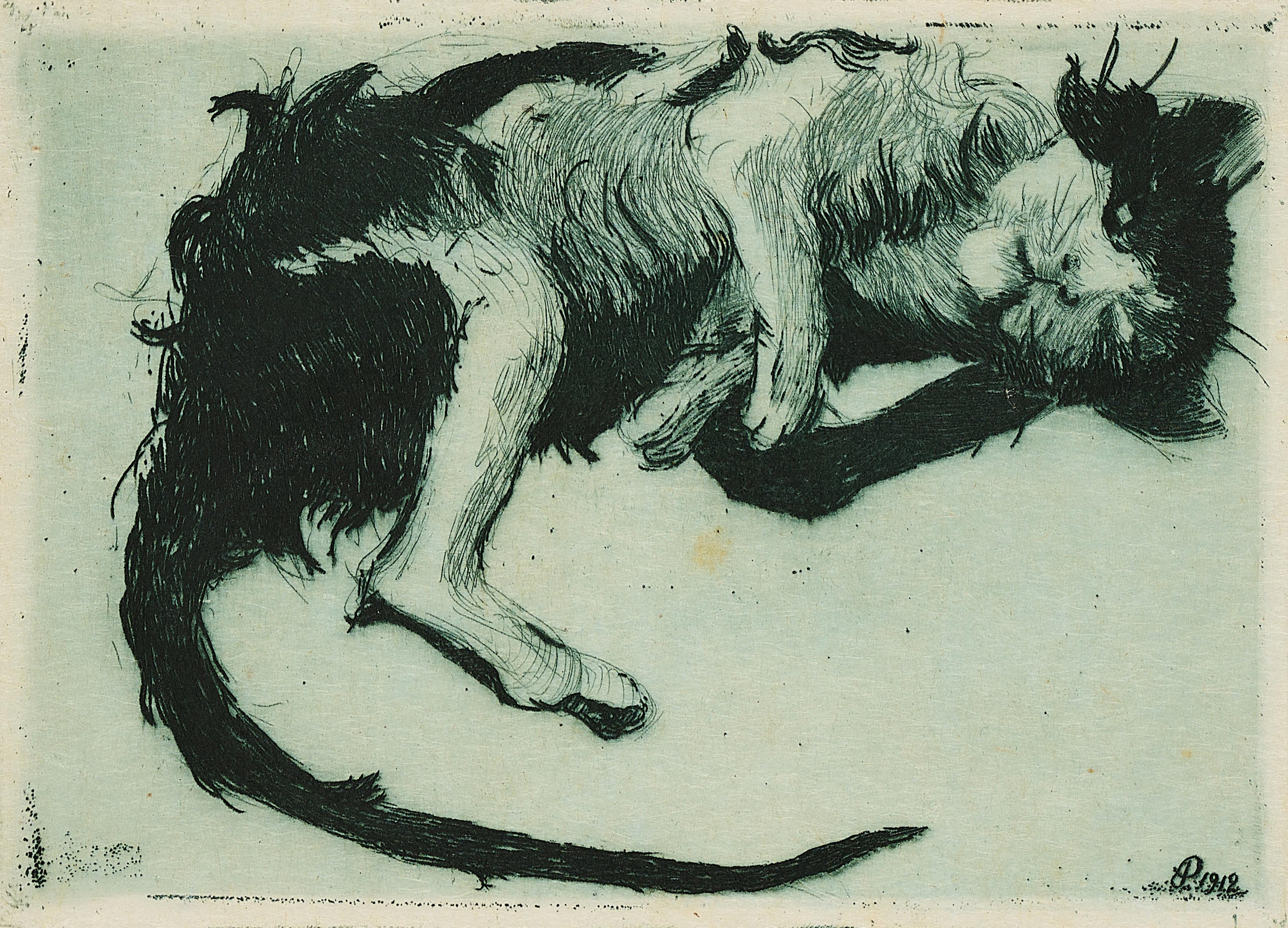 Otto Pankok - Versoffene Katze.