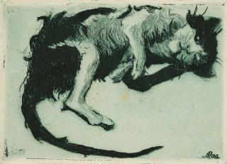 Otto Pankok - Versoffene Katze.