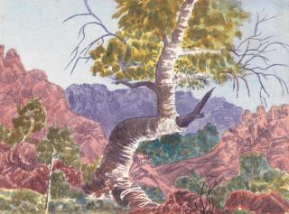 Otto Pareroultja - A gum tree in an Australian landscape