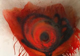 Otto Piene - Brown Poppy
