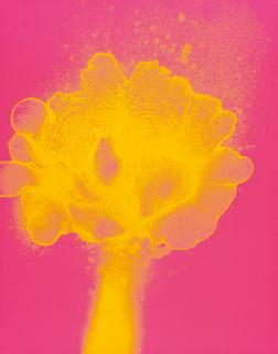 Otto Piene - Feuerflora