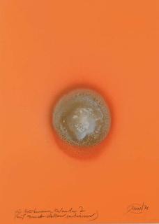 Otto Piene - Feuergouache Orange