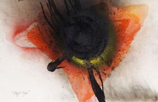 Otto Piene - Fly\'s Eye