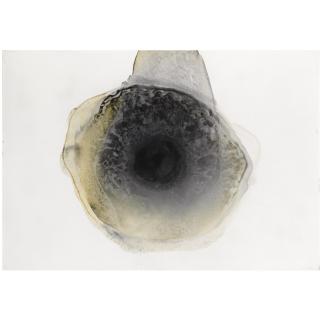 Otto Piene - German Feuerblume