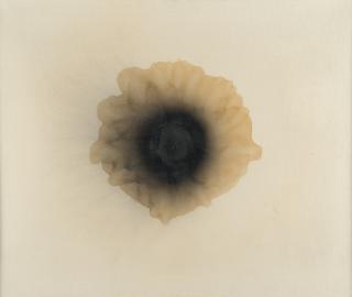 Otto Piene - „Kleine schwarz-weiße Feuerblume“