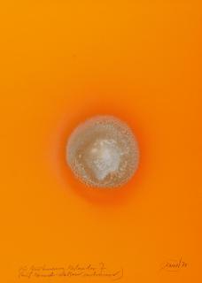 Otto Piene - Ohne Titel