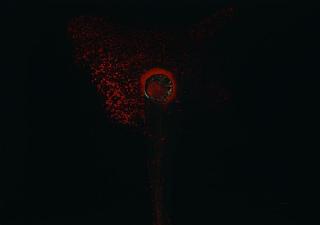 Otto Piene - Ohne Titel