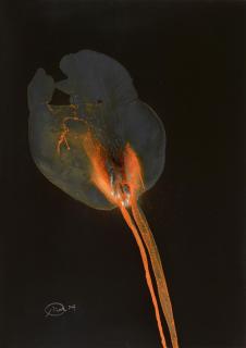 Otto Piene - Ohne Titel