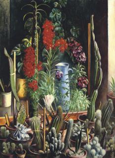 Otto Schön - Goldlack mit Kakteen