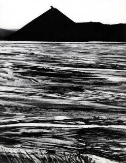 Otto Steinert - »Schlammweiher 2\