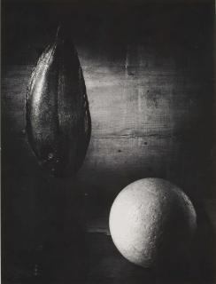 Otto Steinert - Stilleben Mit Fisch Und Kugel, 1958