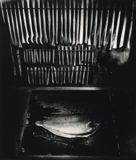 Otto Steinert - \'Stillleben Mit Fisch\', 1958