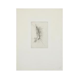 Otto Wols - Work, circa 1942-49