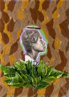 Owanto - Feeding my Ancestor - Tobacco