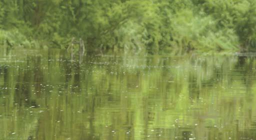 Pablo Cardoso - 04 20.56\' S - 78 39.78\' W (Coordenadas series)