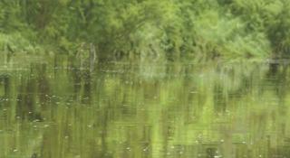 Pablo Cardoso - 04 20.56\' S - 78 39.78\' W (Coordenadas series)