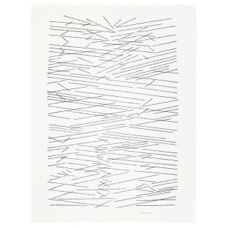 Pablo Palazuelo - El Número Y Las Aguas Ix