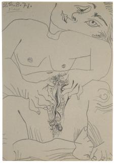 Pablo Picasso - Nu (Nude)