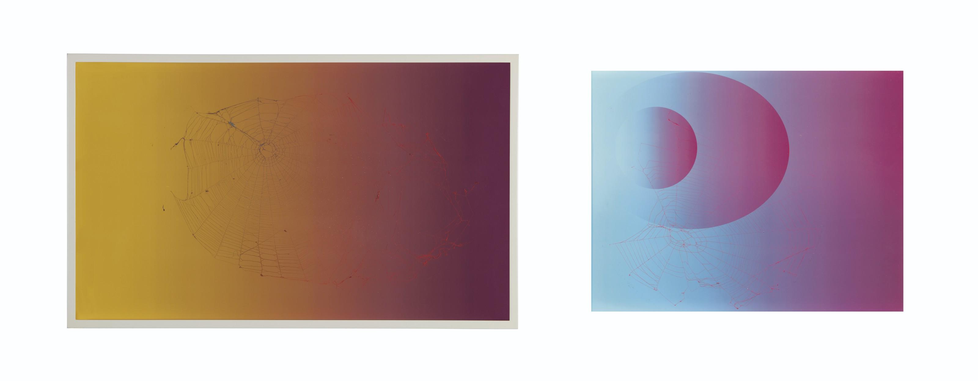 Pae White - Web Sampler #10 #14