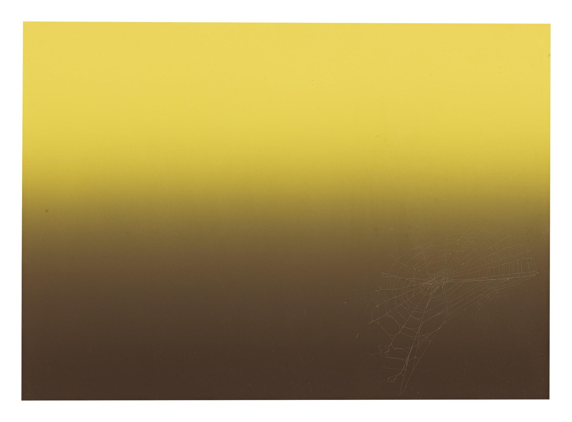 Pae White - Web Sampler #102, 2001