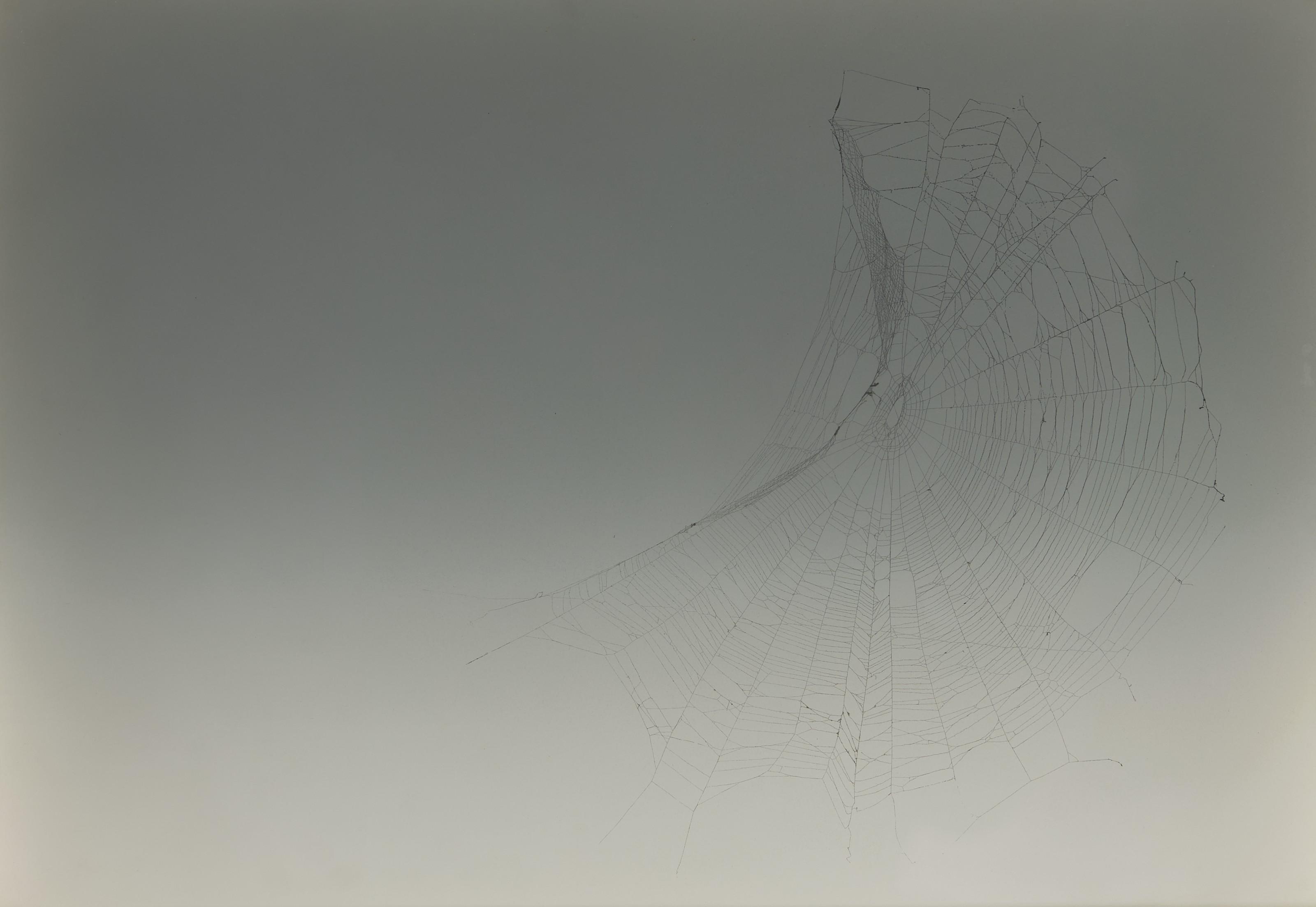 Pae White - Web Sampler #108