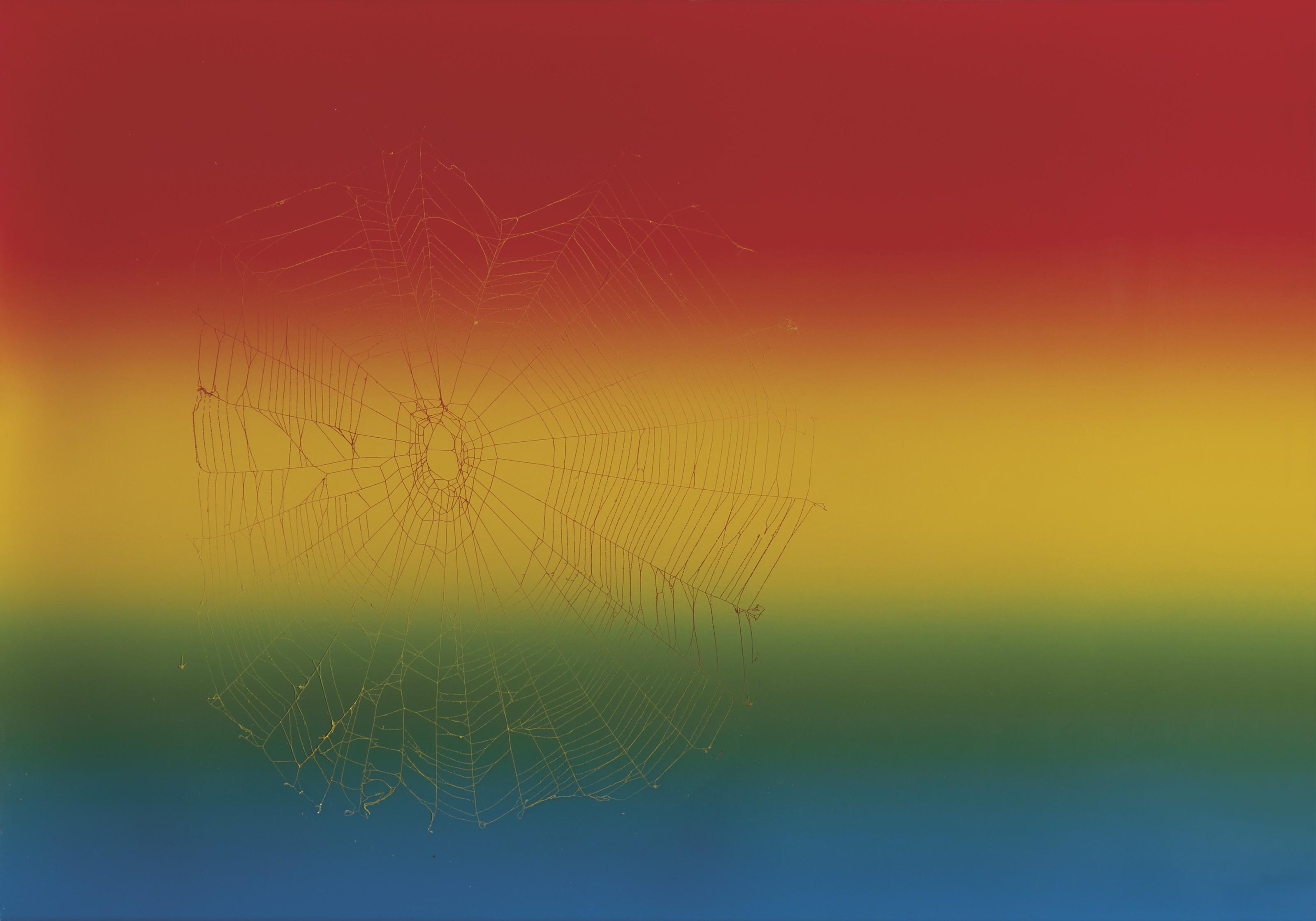 Pae White - Web Sampler #111