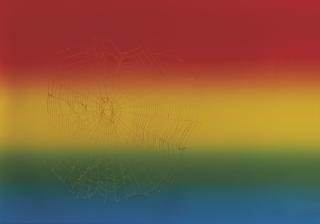 Pae White - Web Sampler #111