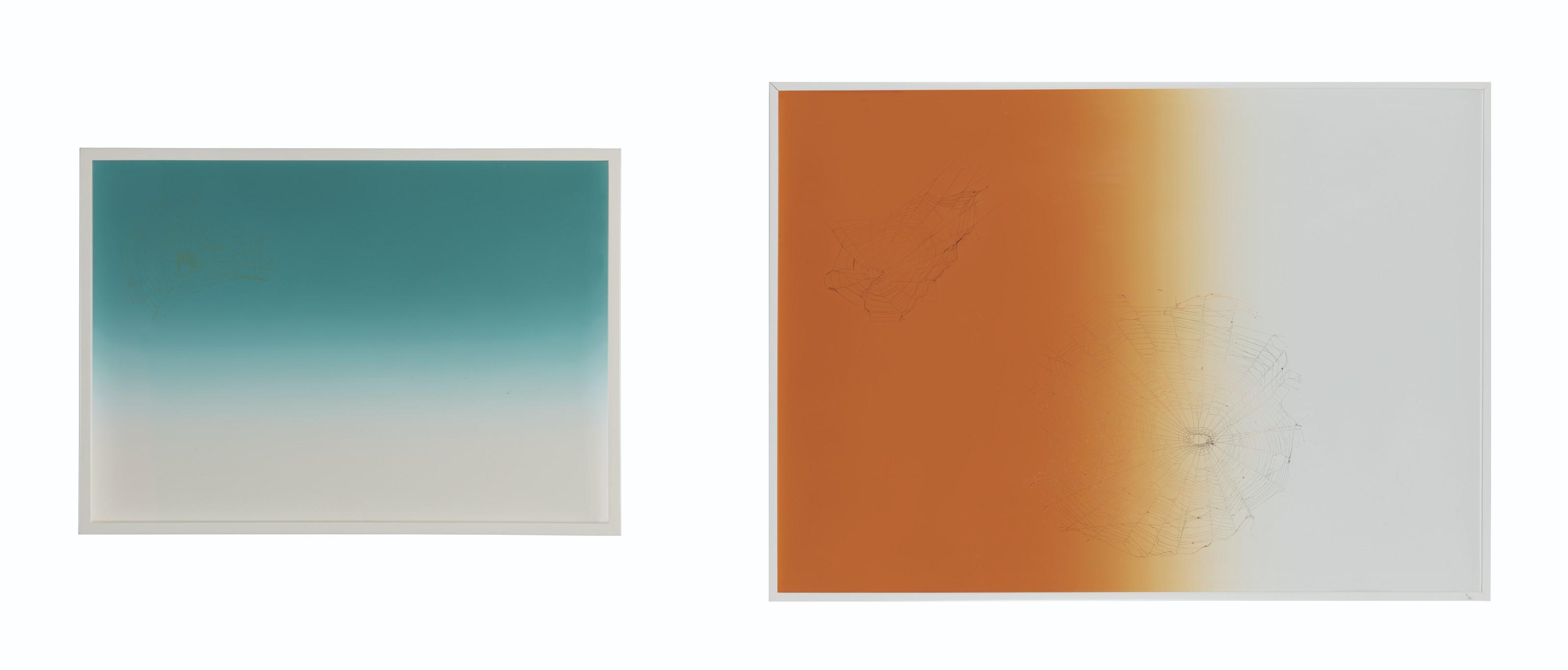 Pae White - Web Sampler #13