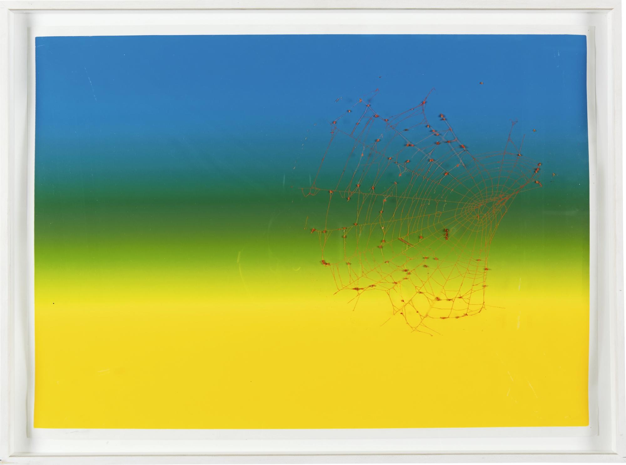 Pae White - Web Sampler 2000 (#6)