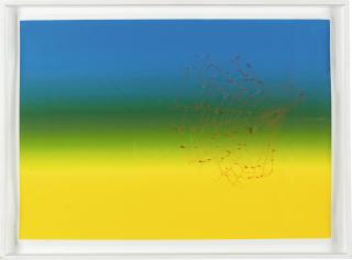 Pae White - Web Sampler 2000 (#6)